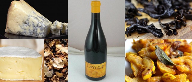 syrah-food-pairing syrah food pairing